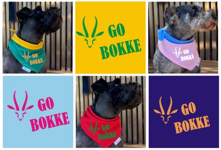 Bokke