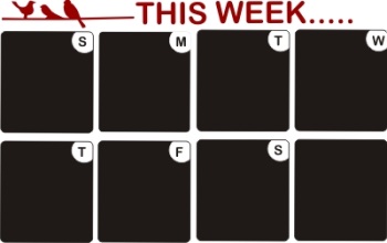 Weekly Calendar